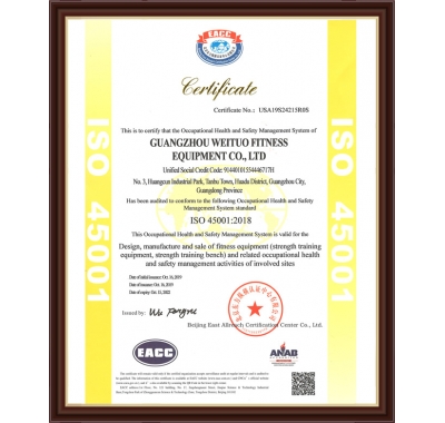 ISO 45001 2008