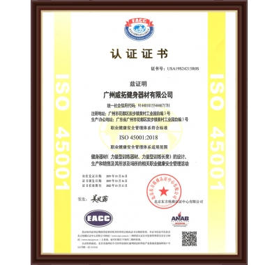 Occupational health and safety management system ISO 45001 2008